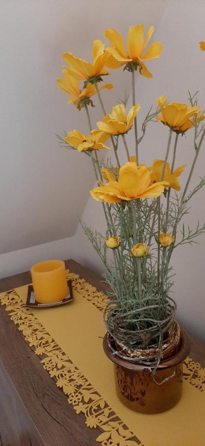 Napko Apartman Sopron Esterno foto